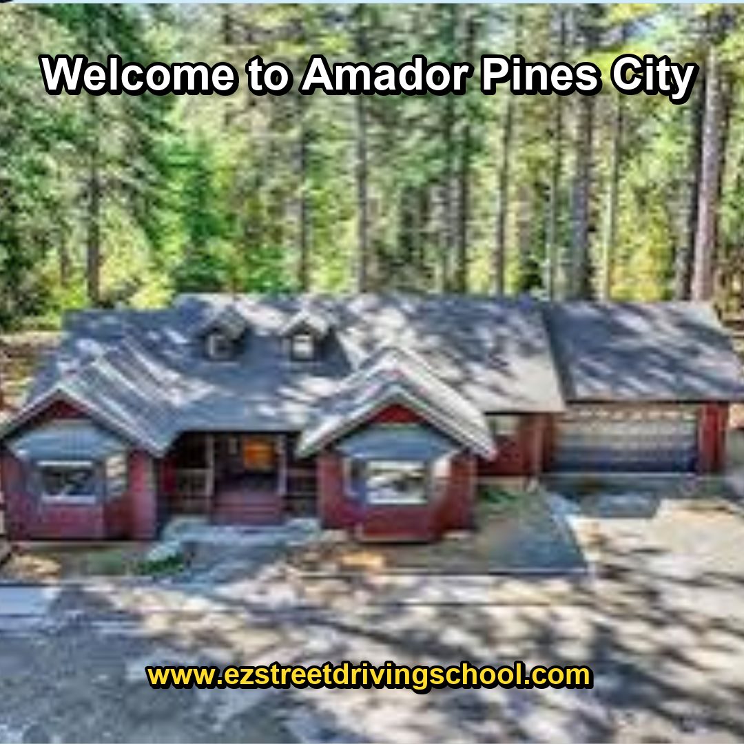 Driving Lessons in Amador Pines